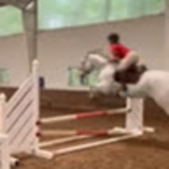 Meet your Posher, Carly - Picture 1 of 1